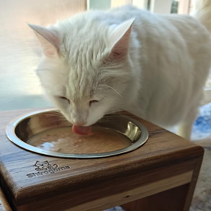 Raised Cat Bowls, 6.25 in Wide, 6" Elevated Cat Feeding Stand (with 2 Stainless Steel Bowls: 12 oz/1.5 Cup), Small Dogs, Rabbits, Anti-Vomit, Whisker Friendly, 6 x 8 x 8 in, Acacia Wood