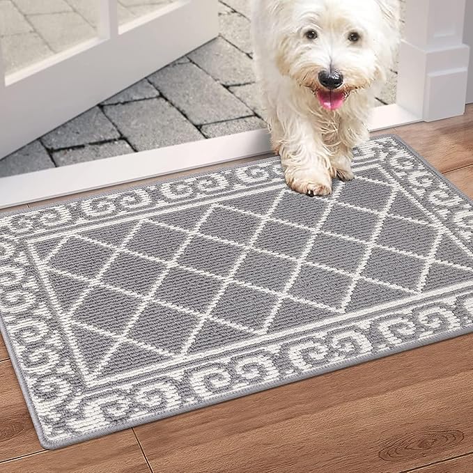 HEBE Indoor Door Mat 20''x32'' Non Slip Front Door Welcome Mats Washable Shoe Mats Dirt Trapper for Entryway Low Profile Kitchen Carpet for Entrance Hallways Entrance Mat for Dogs