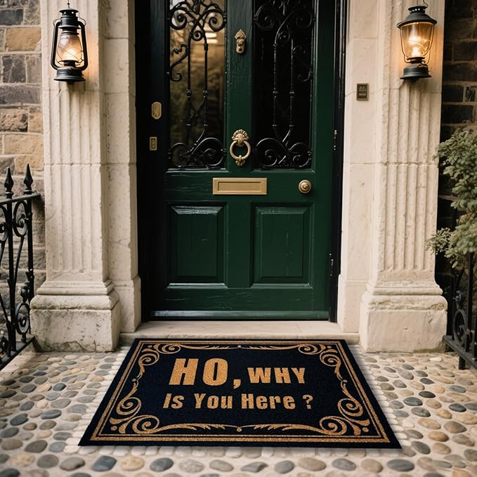 CHACHAHAER Funny Door Mats Outside ho, Why is You Here 30"(W) X 17"(L) for Entry Doormat,Welcome Mat,Floormat,Halloween Thanksgiving Christmas Decoration