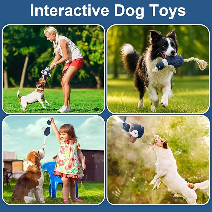 Durable Squeaky Dog Toy Set with Tug Rope | 3-Pack Interactive Plush Toys for Small to Extra Small Dogs | Animal Shapes – Lion, Parrot & Duck | Chew, Play, and Tug of War | Pet Toy Set