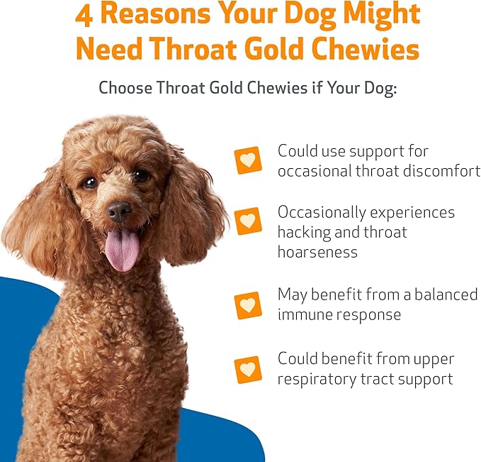 Pet Wellbeing Throat Gold Chewies for Dogs - Vet-Formulated Upper Respiratory Support - Convenient Chewies for Throat Comfort & Occasional Cough - Holistic Herbal Dog Supplement - 90 Count