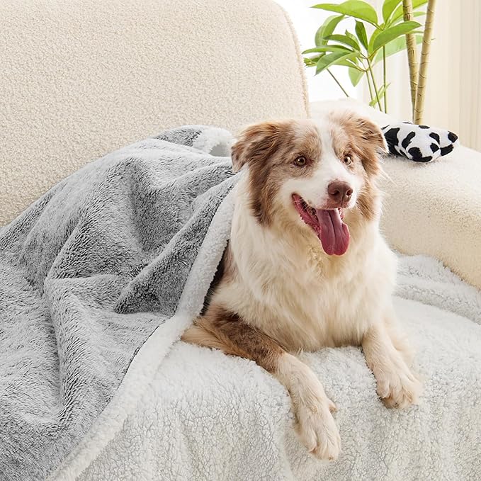 Dog Blanket Waterproof, Reversible Faux Fur & Sherpa Pet Throw for Couch & Sofa Protection, Soft Plush Dog Blankets for Large Dogs, 50"x60", Light Grey