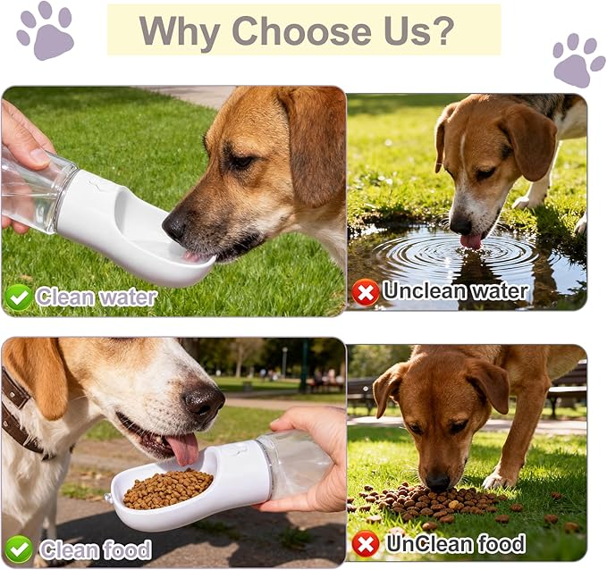 Portable Dog Water Bottle with Food Container, BPA Free Travel Water Bottle for Dogs, 2-in-1 Dispenser Drinking Feeder for Pets Walking, Hiking, Travel, Puppy Essentials, White, 12oz