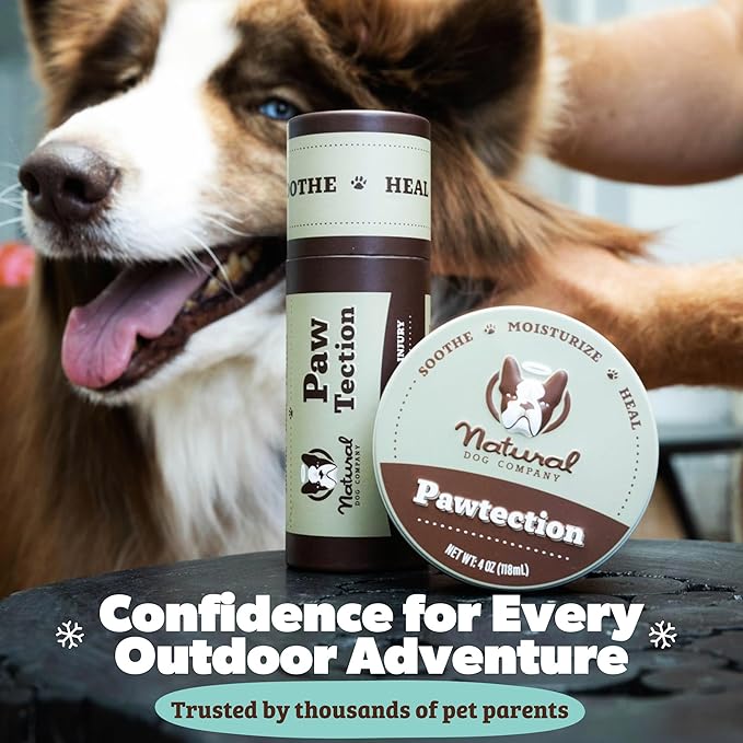 Natural Dog Company PawTection Balm 1 oz Tin – Dog Paw Protection with Shea Butter & Calendula – Shields Paws from Snow, Ice, Salt, Hot Pavement & Rough Terrain – Lick-Safe, All Breeds