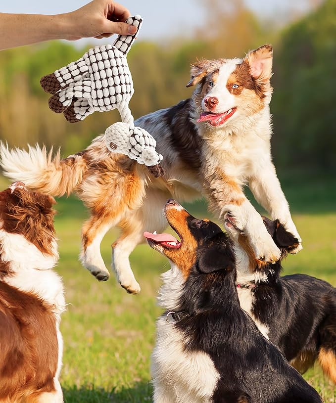 Squeaky Plush Dog Toys - Adorable Animal Designs with Soft Cotton Filling, Cute Stuffed Dog Chew Toys for Small, Medium Non-Aggressive Chewing Dogs Chewer (White - Giraffe/Lamb)