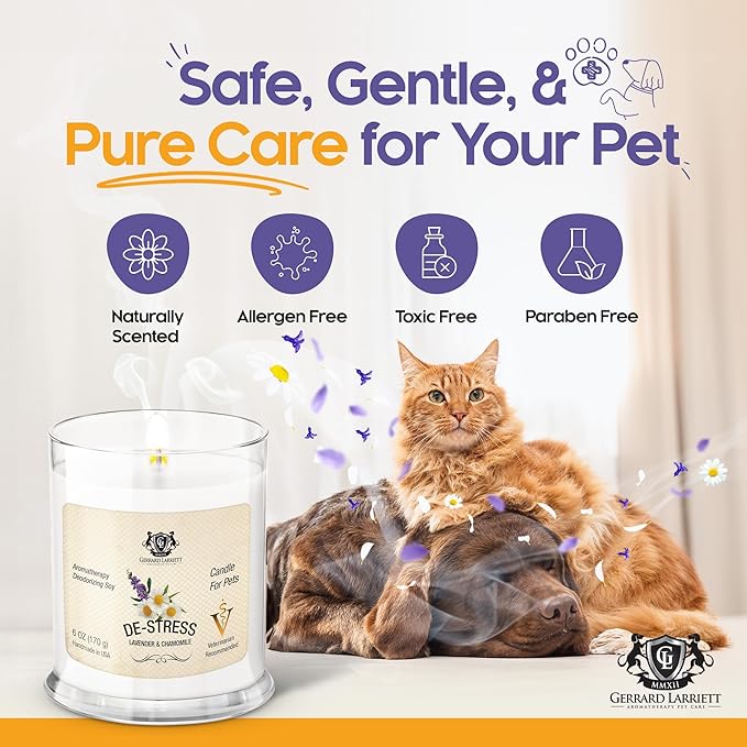 Pet Odor Eliminator Candle Lavender and Chamomile Scented Candle, Pet Candles Odor Eliminator, Soy Wax Calming Candles Aromatherapy, Dog & Cat Friendly Air Fresheners by Gerrard Larriett
