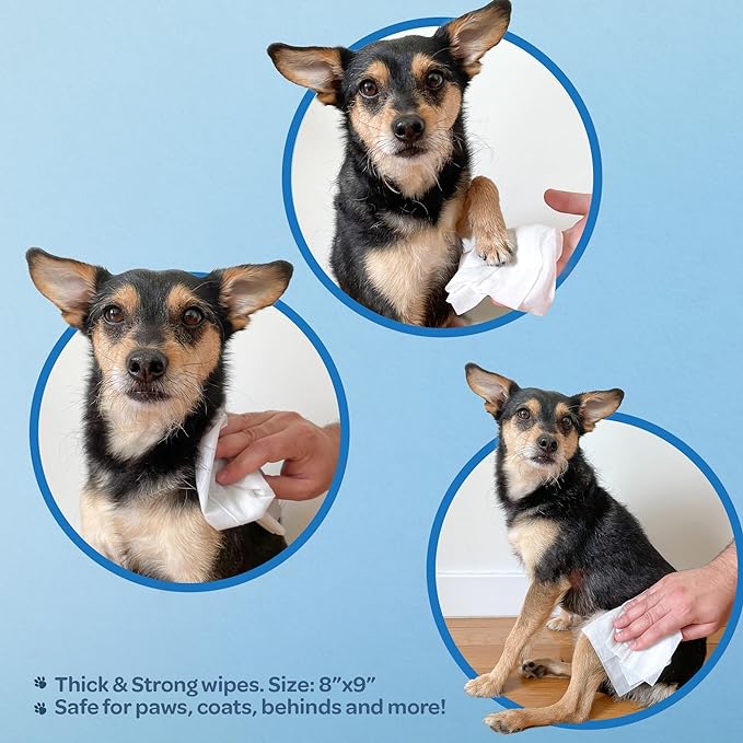 Best Pet Supplies Pet Wipes for Dogs - Dog Wipes Cleaning Deodorizing, for Coats, Ears, Paws - Moisturizing, Coconut, 100 Count