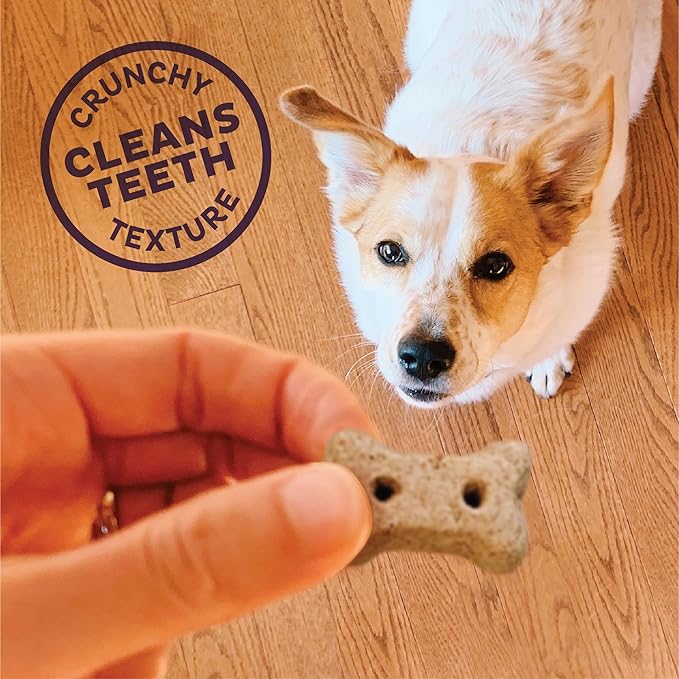 Old Mother Hubbard Wellness Liv'R'Crunch Dog Biscuits, Natural, Training Treats, Chicken Liver, Oats, Apples, Carrots, & Eggs Flavor, Mini Size, (20 Ounce Bag)