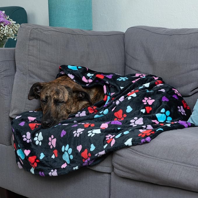 Pet Dog Cat Blanket Ultra Soft Cozy Fleece Paw Print Design Machine Washable Durable for Crates Beds Sofas Travel (Garden of Paws, Medium)