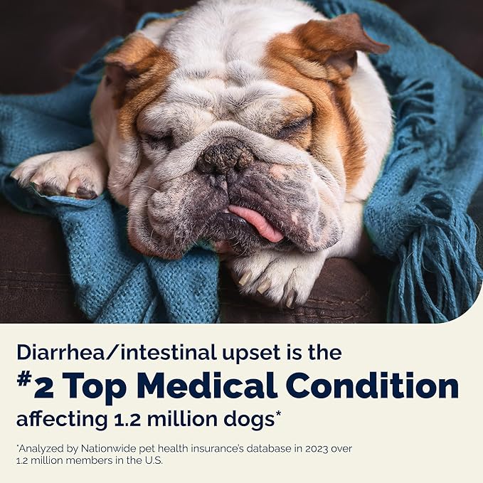 Vetnique Glandex Daily Probiotics for Dogs with Prebiotics to Support Gut Health with Fiber and Digestive Enzymes, Probiotic Chews or Powders (4.25oz Powder, Pork Powder)