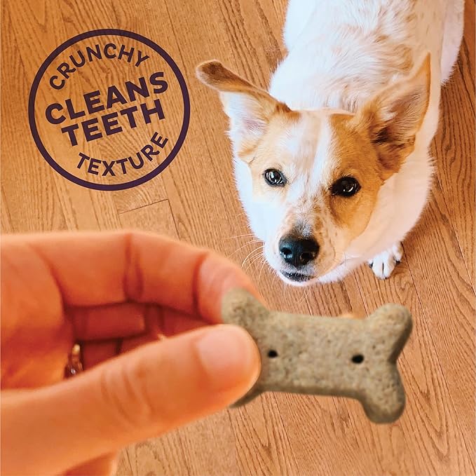 Old Mother Hubbard Wellness Bac'N'Cheez Dog Biscuits, Natural, Training Treats, Bacon & Cheese Flavor, Small Size, (20 Ounce Bag)