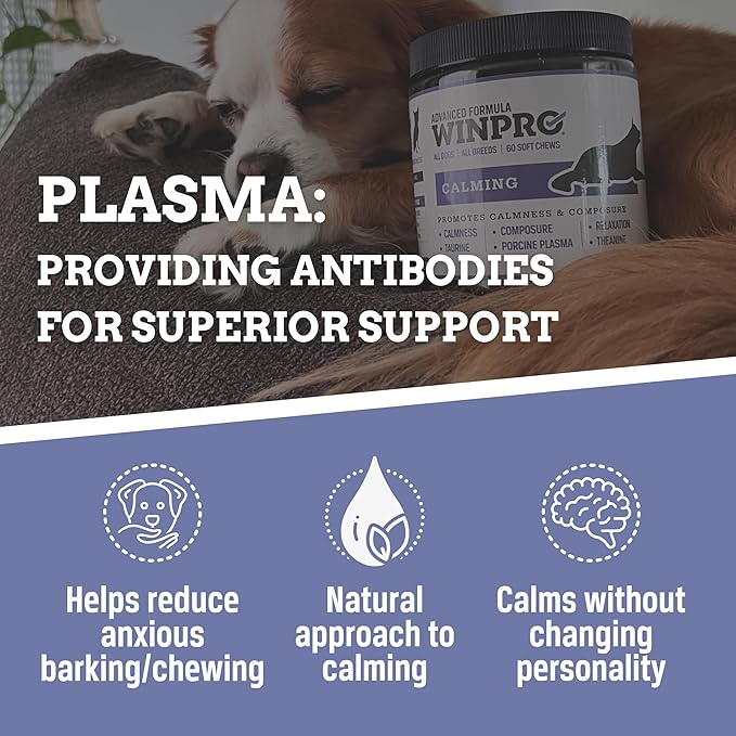 WINPRO Calming Chews for Dogs – Plasma-Powered for Dog Anxiety & Stress Relief– Fast-Acting Dog Calming Chews - Natural Ingredients, Grain-Free - Suitable for All Breeds & Sizes –60 Count Made in USA