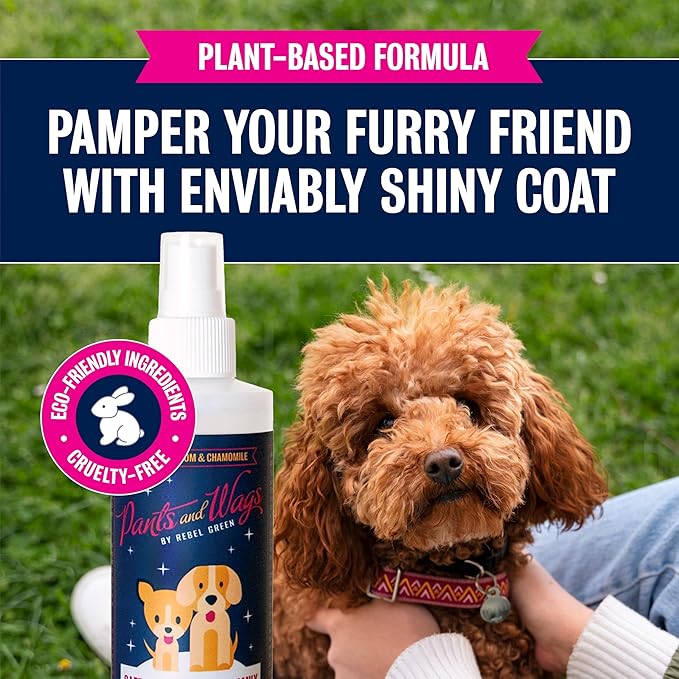 Rebel Green Pants & Wags Spritz, Sparkle & Shine Essential Oil Spray - Orange Blossom & Chamomile - Hypoallergenic - No Dyes or Perfumes - 8 oz - 2 Pack