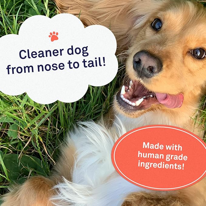 Petpost | Waterless Argan Oil Dog Shampoo Spray. Rinse-Free Cleaner & Deodorizer with Aloe & Safflower Oil. Moisturizes Skin & Softens Coat. 8 oz