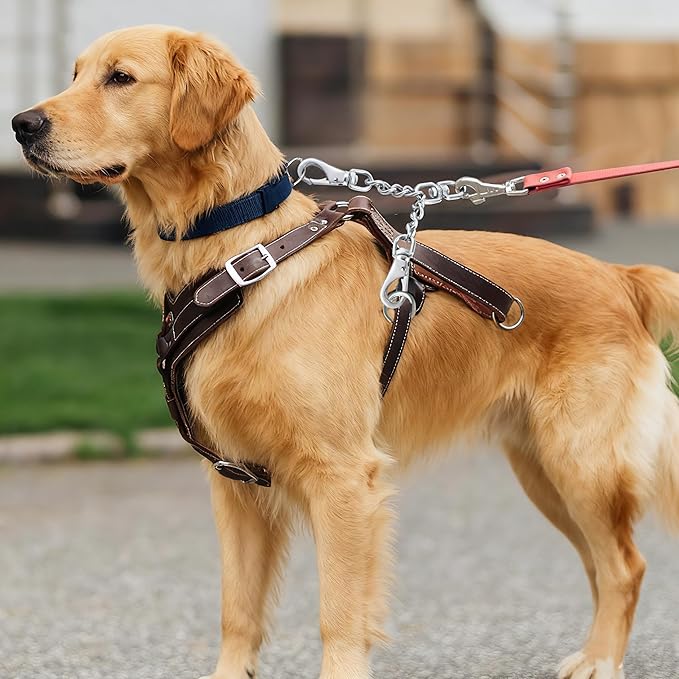 Leash Backup with Dual Clasps Prong Collar Safety Clip Stainless Steel Dog Safety Clip Collars and No Pull Harness Connectors