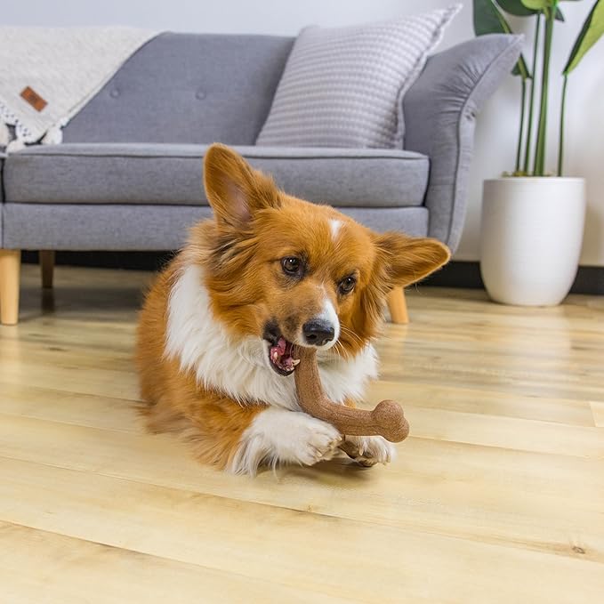 Outward Hound by Dogwood Jack Durable Dog Chew Toy, Bacon Scent, Large