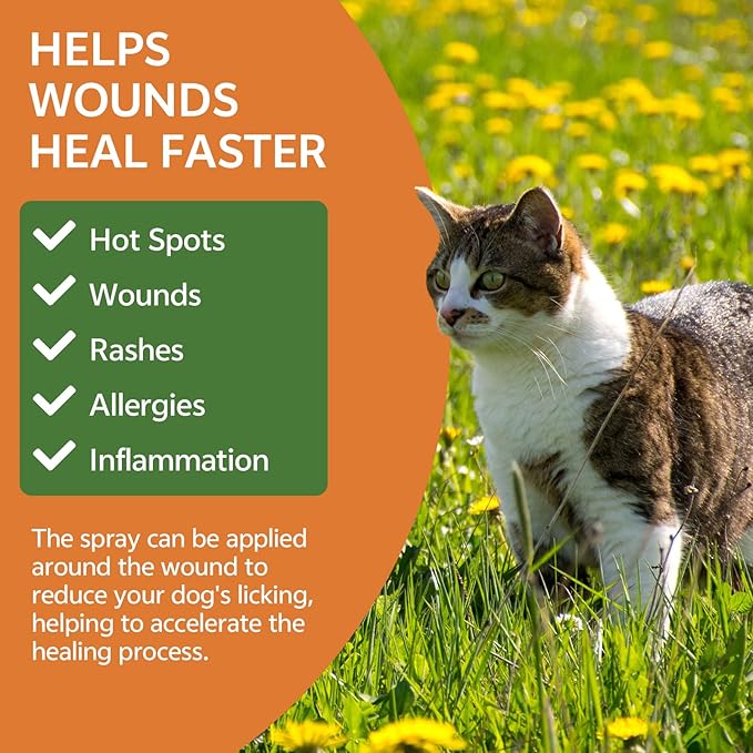 Cat Deterrent Spray 6.76 OZ - Natural No Scratch Spray for Cats to Anti Scratching Marking Furniture Garden, Keep Cats Off Furniture, No Trace, Training & Behavior Aids Indoor Use