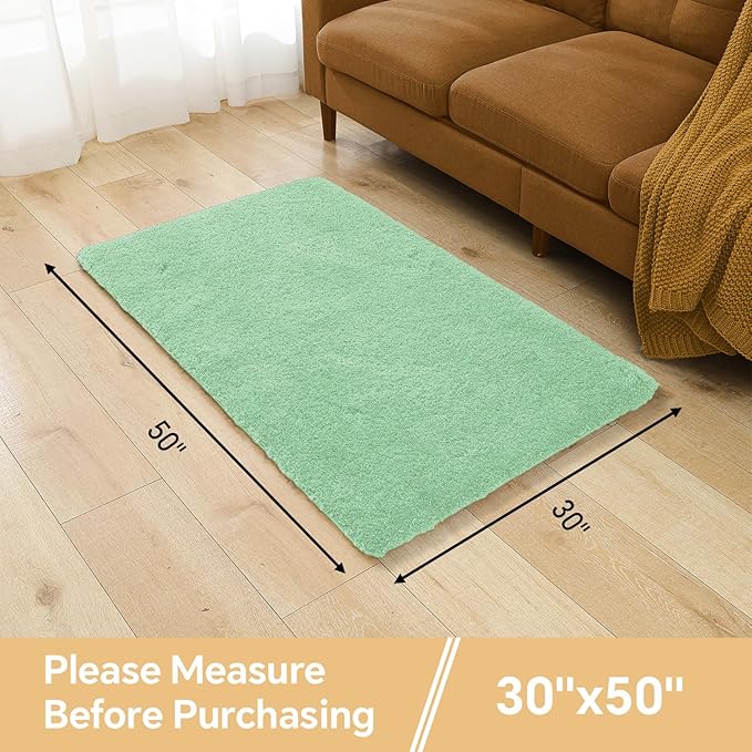 Light Green Bathroom Rugs 30"x50" - Large Bath Mat for Bathroom Floor, Fluffy Microfiber Plush Rug, Non Slip and Washable - Great for Living Room, Bedroom or Kitchen Mat