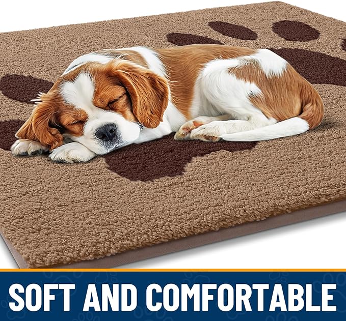 Smiry Dog Door Mat for Muddy Paws, Absorbs Moisture and Dirt, Low-Profile Entryway Mat with Non-Slip Backing, Entry Indoor Outdoor Doormat for Inside Floor (36x24 Inches, Beige, Paw)
