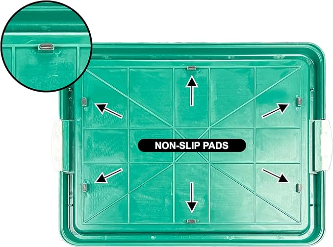 Pets-N-Me Dog Pee Pad Holder, Puppy Potty Training Tray 22.5”X16.5” for Small Dogs (Green)
