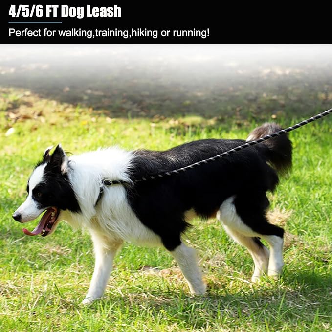 2 Pack Dog Leash, 4/5//6 FT Heavy Duty Nylon Rope Pet Leashes with Comfortable Padded Handle, Reflective Dog Leashes for Small Medium and Large Dogs (5FT-3/8,Black/Yellow)