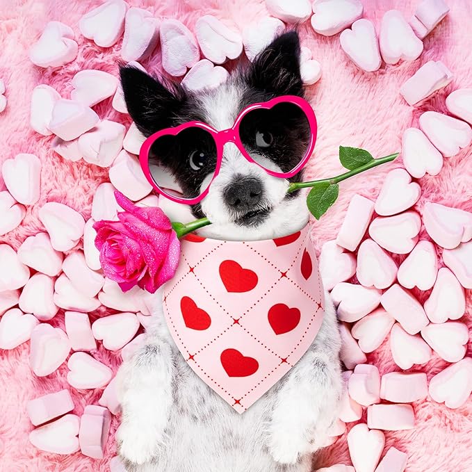 50 Pcs Valentines Day Dog Bandanas Bulk Red and Pink Heart Bandanas for Dogs Triangle Kerchief Bibs Scarf for Pet Party Costume Photo Props Accessories Pet Shops Groomer (31.5 x 21.7 x 21.7)