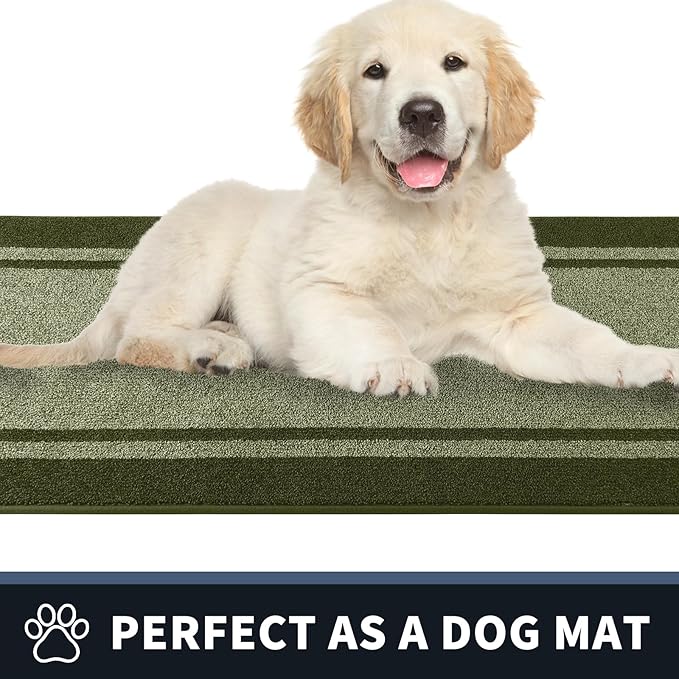 PURRUGS Dirt Trapping Door Mat 24" x 60", Non-Slip Machine Washable Entryway Rug, Entrance Mat, Indoor Front Door Mat, Super Absorbent Entry Rug for Muddy Shoes & Paws, Budding Green & Sage Green