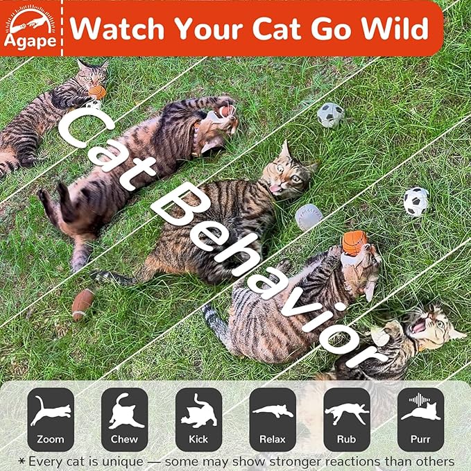 Agape 100% Catnip & Silvervine Filled Cat Toys, Interactive Chew & Kicker Balls for Indoor Cats, Enrichment and Teeth Cleaning Fun for Bored Cats and Kittens, 2 Pack Natural Crinkle Cat Toy with Sound