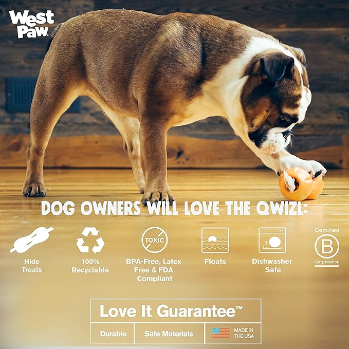 West Paw Zogoflex Qwizl Interactive Treat Dispensing Dog Puzzle Treat Toy for Dogs, Granny Smith, Small