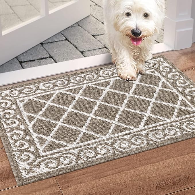HEBE Indoor Door Mat 20''x32'' Non Slip Front Door Welcome Mats Washable Shoe Mats Dirt Trapper for Entryway Low Profile Kitchen Carpet for Entrance Hallways Entrance Mat for Dogs