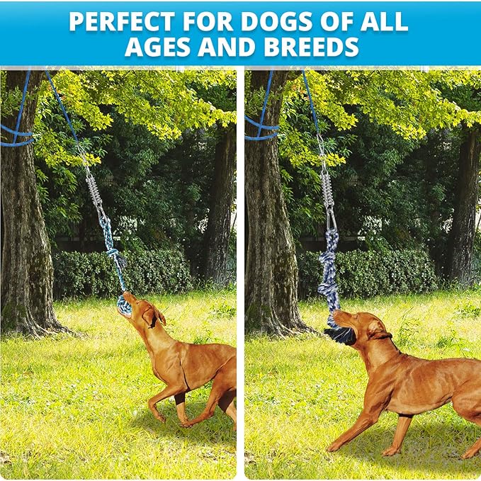 TT TRSMIMA Spring Pole Rope Toys: Rope Pull & Tug of War with a Big Spring Pole Kit & 2 Strong 16ft Toys - Muscle Builder Interactive Toy for Pitbull Medium to Large Dog