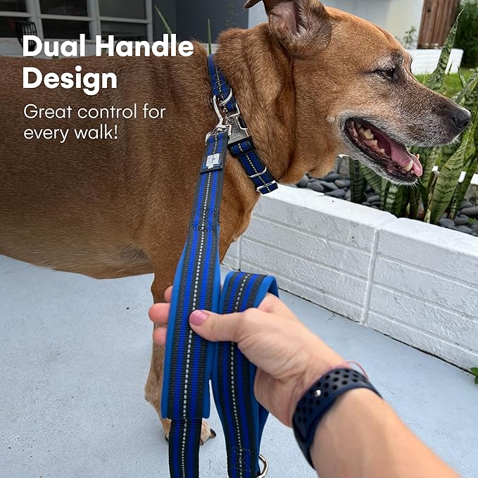 Black Rhino Heavy Duty Dog Leash for Medium and Large Dogs - 5 ft Long Double Handle Dog Leash with Padded Traffic Control Handles - Reflective, Durable, and Weather Resistant (Blue and Gray)