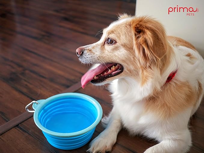 Prima Pet Expandable / Collapsible Silicone Food & Water Travel Bowl with Clip for Medium & Large Dog, Portable and Durable Pop-up Feeder for Convenient On-the-go Feeding, Size: 5 Cups (7 Inch Diameter Bowl) (LARGE (5 CUPS), AQUA)