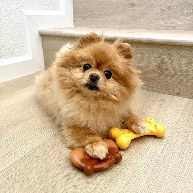 Nylabone Power Chew Toy Bundle, Cute Dog Toys for Aggressive Chewers, Filet Mignon, Cheese, and Bacon Flavors, Small Dogs - Up to 25 lbs, 3 Pack