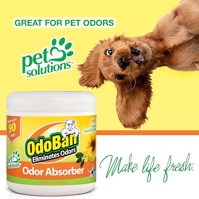 OdoBan Solid Odor Absorber Eliminator for Home and Small Spaces, Citrus Scent, 14 Ounces Each, 6-Pack