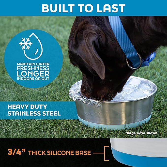 Master Pet Supply Stainless Steel Dog Bowls Set of 2 with Extra Thick Silicone Base - 2 Cup (16 oz) True Blue, Non-Slip, Dishwasher Safe Metal Bowls, Pet Dog Food Bowl for Dogs, Cats, Anti Rust
