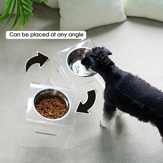 Tilted Raised Elevated Food and Water Bowls Stand for Medium or Large Dogs - Puppy's Clear Acrylic Stainless Steel Dishes Holder for Boy or Girl Pet, Modern, Durable and Easy to Clean (Large-Clear)