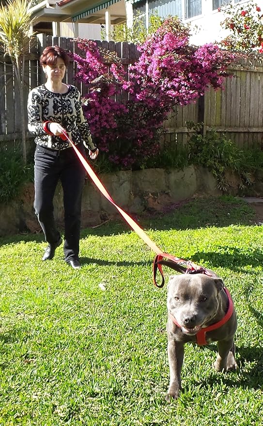 Primal Pet Gear Dog Leash 6ft Long,Traffic Padded Two Handle,Heavy Duty,Reflective Double Handles Lead for Control Safety Training,Leashes for Large Dogs or Medium Dogs,Dual Handles Leads(Red)
