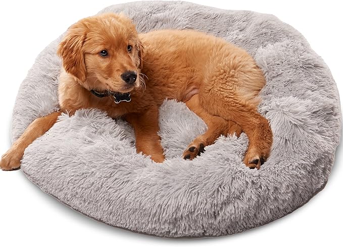 Active Pets Small Lt Grey Dog Bed for up to 25lbs, Calming Orthopedic Pet Bedding for Anxiety Relief, Joint Support & Comfort, Washable Dog Furniture