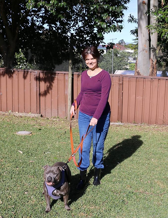 Primal Pet Gear Dog Leash 6ft Long,Traffic Padded Two Handle,Heavy Duty,Reflective Double Handles Lead for Control Safety Training,Leashes for Large Dogs or Medium Dogs,Dual Handles Leads(Orange)
