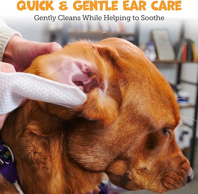 Finger Ear Wipes for Dogs with Aloe Vera and Eucalyptus - Convenient, Extra-Coverage, and Large Design Dog Ear Cleaning Wipes - Removes Wax and Freshens Ears - 50 Wipes