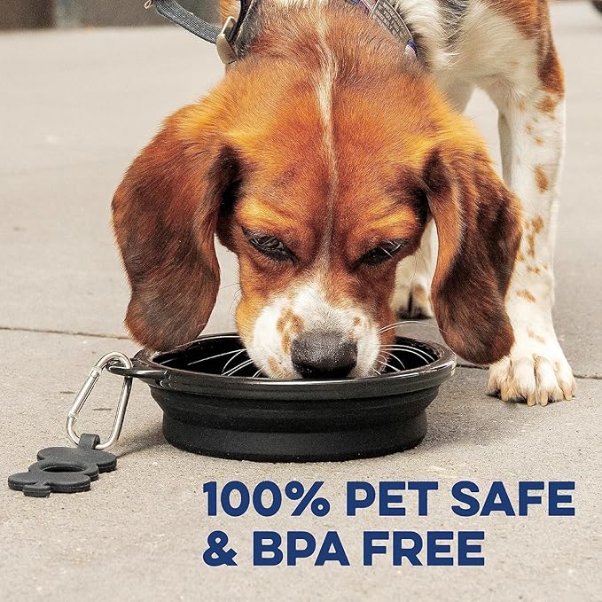 Bonza Collapsible Dog Bowls - 2 Pack, Small 12 oz, Dog Travel Accessories, Silicone Portable Dogs Bowl & Water Dish with Reinforced Rim & Carabiner for Hiking, Camping, and Car Trips, Light Gray