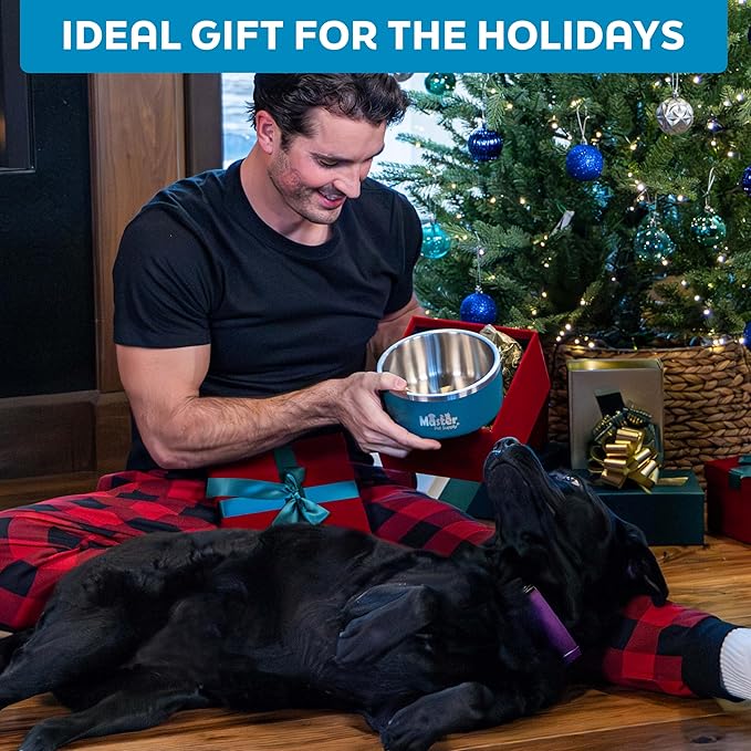 Master Pet Supply Stainless Steel Dog Bowls - 25 oz, Heavy Duty - Aqua Sky, Double Wall Extra-Thick Insulated, Non-Slip Pet Water Bowl for Dogs, Cats & Pets, Anti Rust Metal, Dish Washer Safe