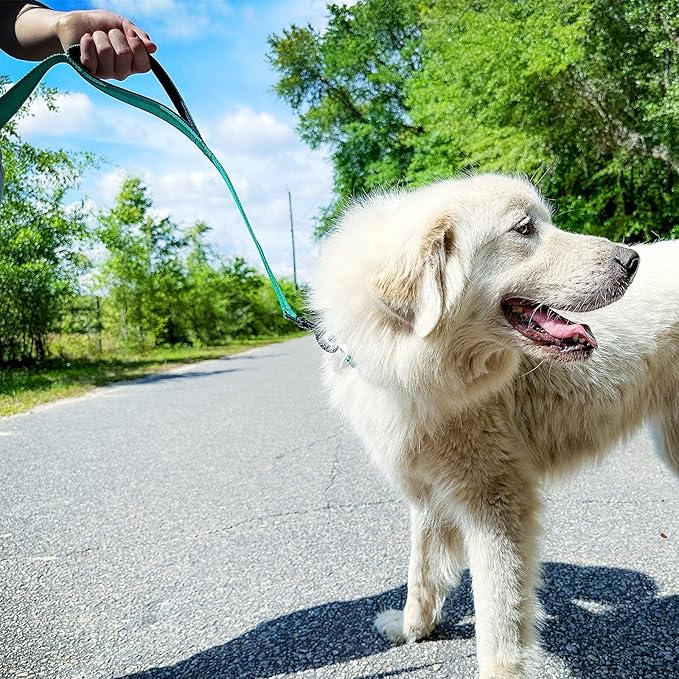 Joytale Dog Leash Heavy Duty for Large Dogs that Pull, Double Handle for Traffic Control, Double-Sided Reflective Leashes for Large Medium Dogs Night Safety, 5FT, Teal