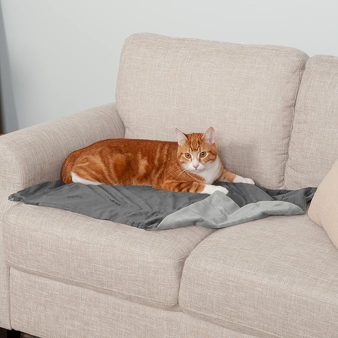 Furhaven Waterproof Throw Blanket for Dogs & Indoor Cats, Washable - Two-Tone Luxe Velvet Dog Blanket - Granite Gray, Small