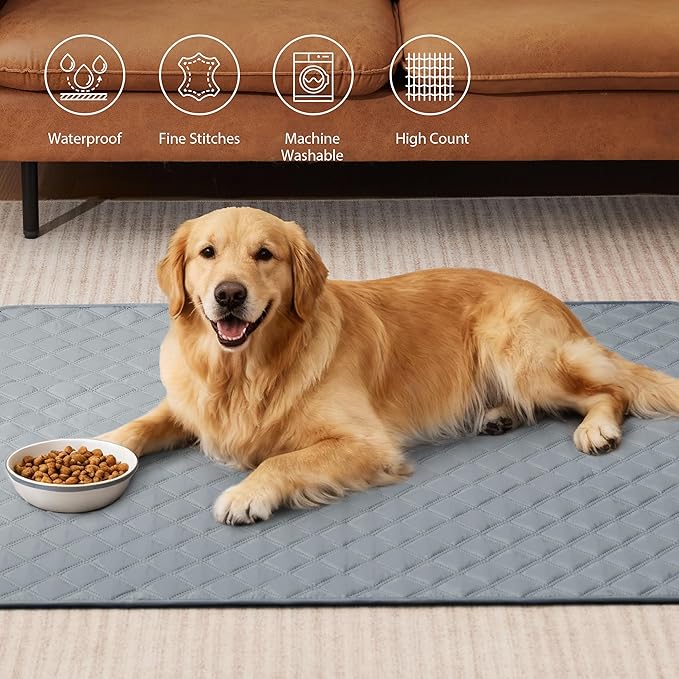 Eterish Reusable Washable Pee Pads for Dogs Extra Large 36'' x 72'' 2 Pack, Absorbent Pet Puppy Dog Training Pads Non-Slip, Waterproof Whelping Potty Pads for Dogs Leak-Proof
