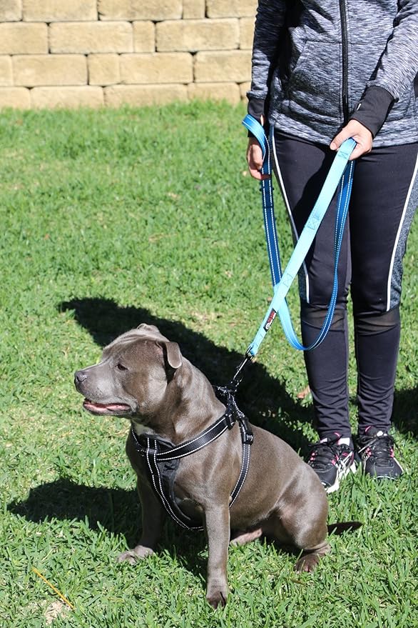 Primal Pet Gear Dog Leash 6ft Long,Traffic Padded Two Handle,Heavy Duty,Reflective Double Handles Lead for Control Safety Training,Leashes for Large Dogs or Medium Dogs,Dual Handles Leads(Blue)