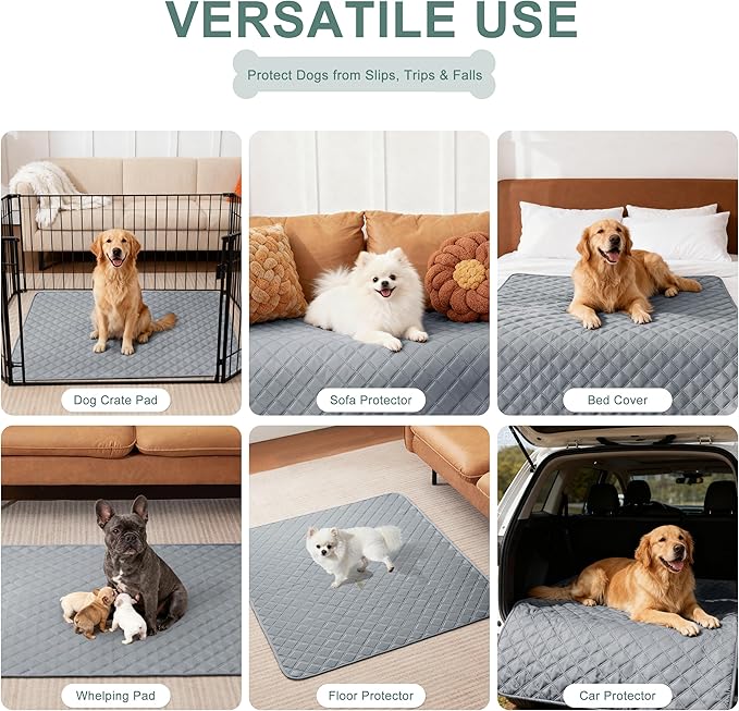 Eterish Reusable Washable Pee Pads for Dogs Small/Large/Extra Large 18'' x 24'' 2 Pack, Absorbent Pet Puppy Dog Training Pads Non-Slip, Waterproof Whelping Potty Pads for Dogs Leak-Proof