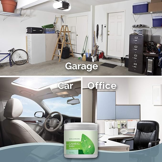 SMELLS BEGONE Air Freshener Odor Absorber Gel - Absorbs Odor from Bathrooms, Cars, Pet Areas, Boats & RVs - Made with Essential Oils - Calming Rain Scent