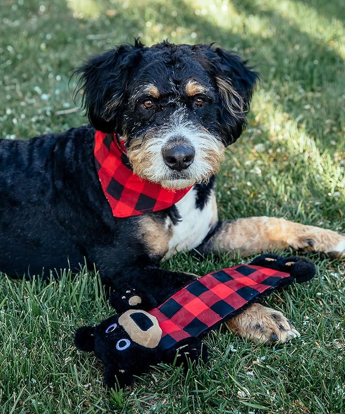 Lazy One Bear Squeaky Dog Toy, Soft Crinkle Toy for Dogs, Durable Fabric for Small, Medium, and Large Breeds